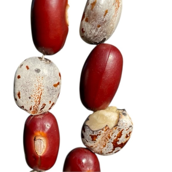 Hand made tribal necklace, carved from seeds and beans, one damaged bean, unique - Picture 7 of 7